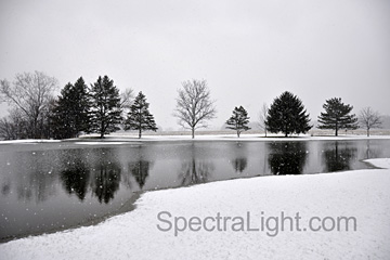 Original photo before Topaz Adjust filter (Photo by SpectraLight.com)